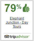Elephant Junction, Thekkady